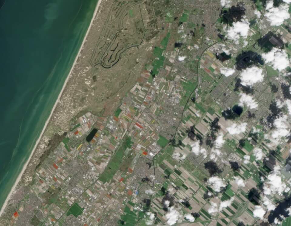 Optical data is flexible: multi-spectral data for spotting hidden details, high resolution for human activity and more.